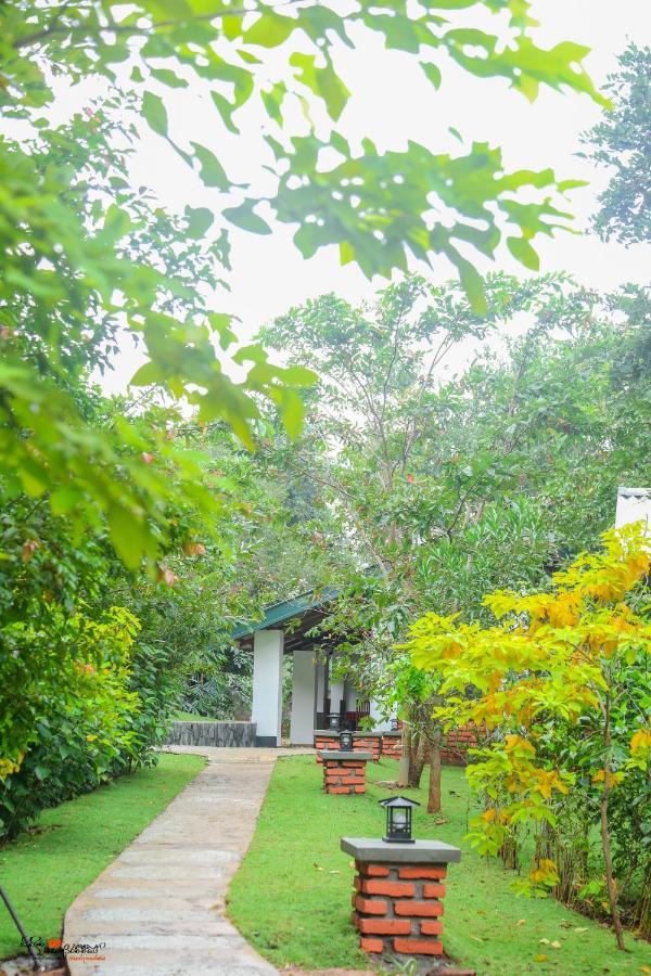Naturaliza Sigirîya Extérieur photo